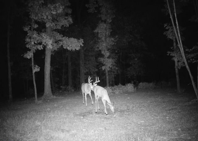 Tbd God’s Little Acre Camdenton, MO 65020