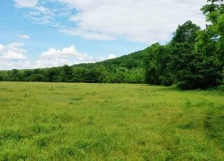 473 ± Acre Ozark Farm for Sale Near Salem, Missouri