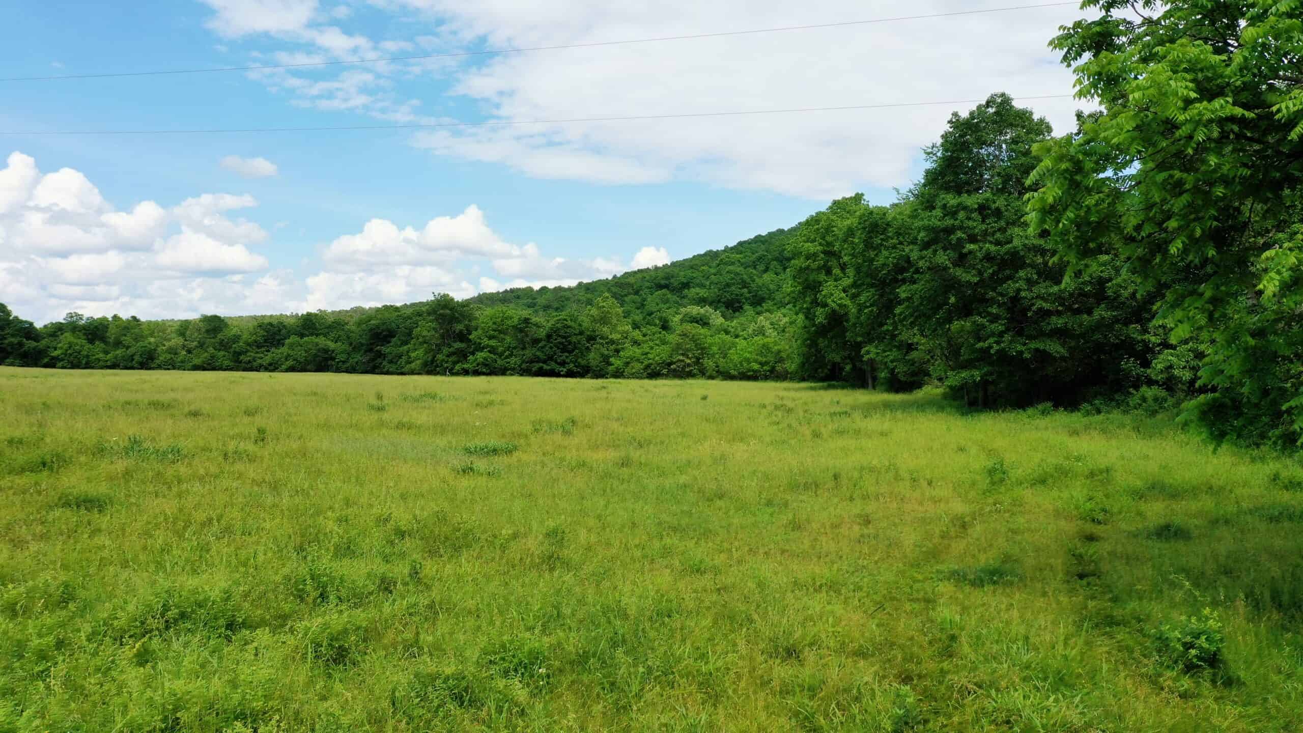473 ± Acre Ozark Farm for Sale Near Salem, Missouri