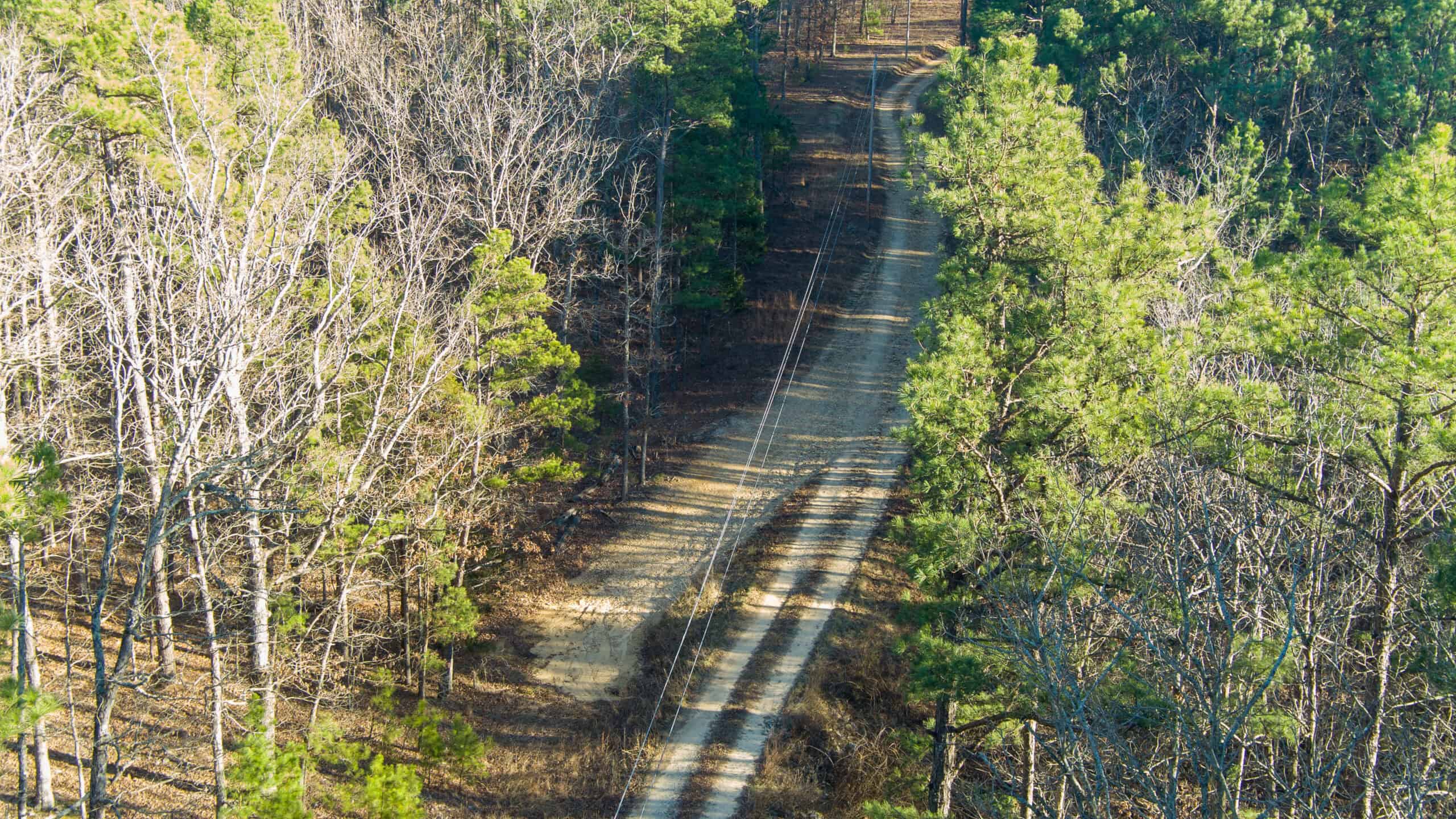 20 ± Acre Wooded Land for Sale in Salem, MO