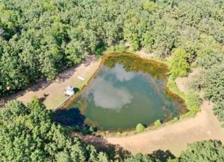Salem, MO – 20-Acre Hunting & Recreational Retreat with Stocked Pond