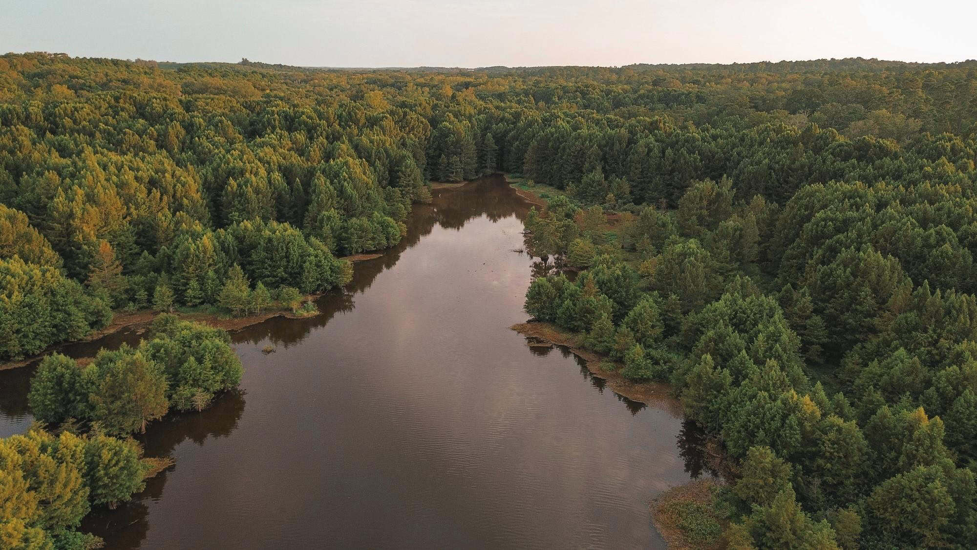 Lake D’Arbonne Land for Sale