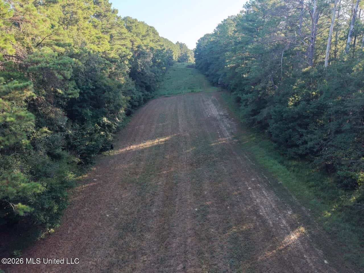 210+/- Acres and Cabin in Franklin County, MS