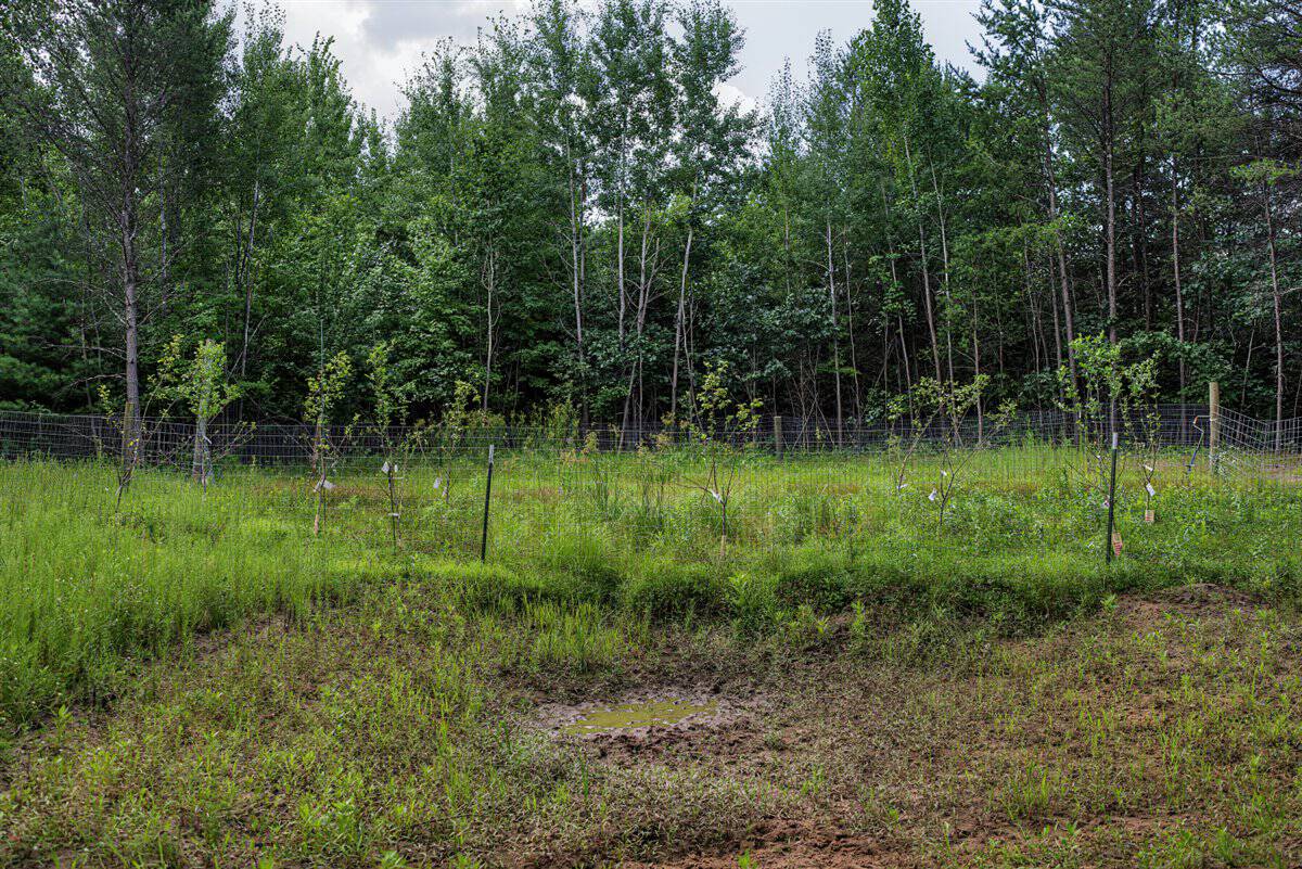 117± Acres of Irrigated Farmland and Trophy Whitetail Habitat — Adams County, Wisconsin