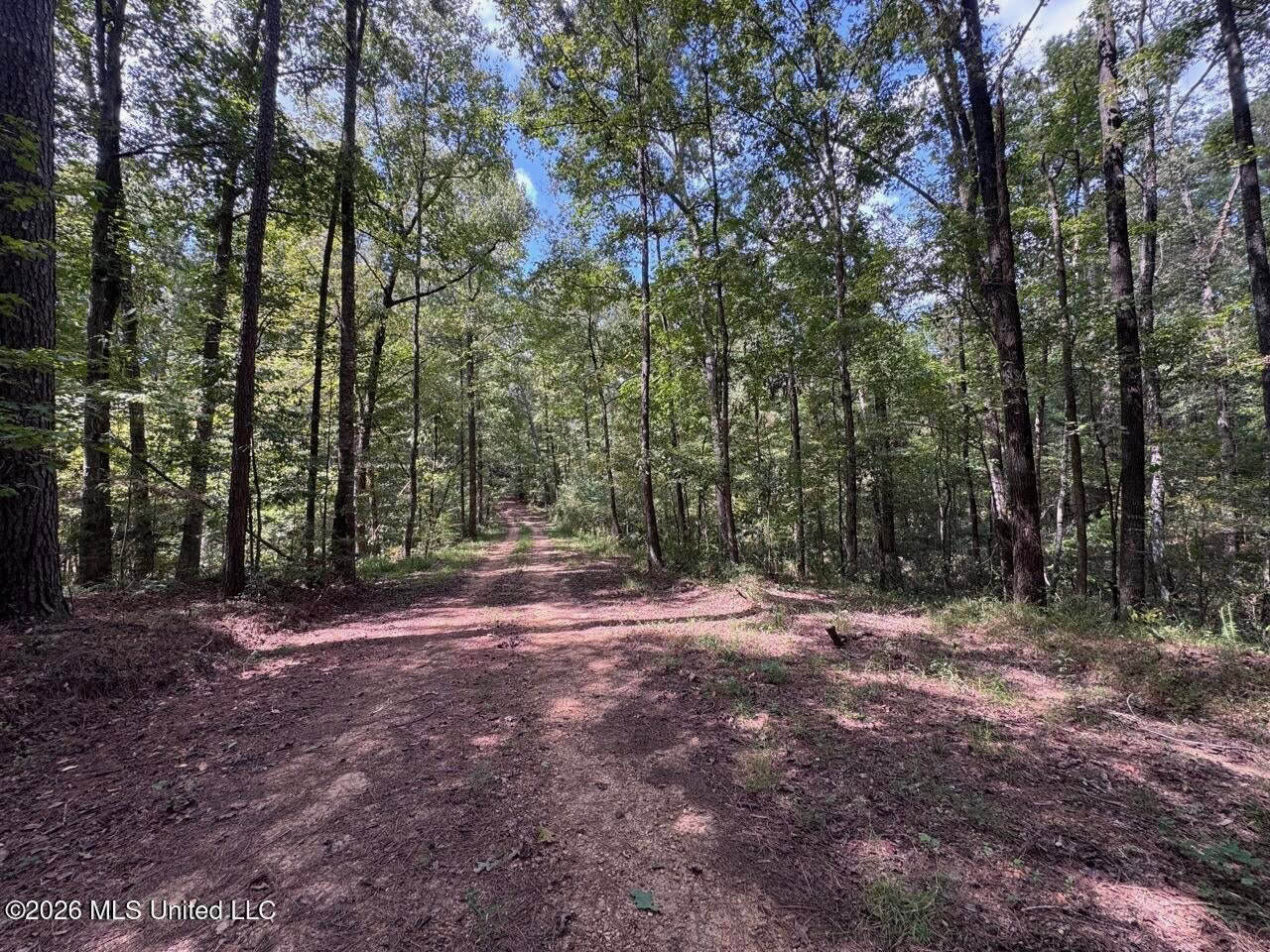 200± Acre Hunting Property in Jefferson County, MS