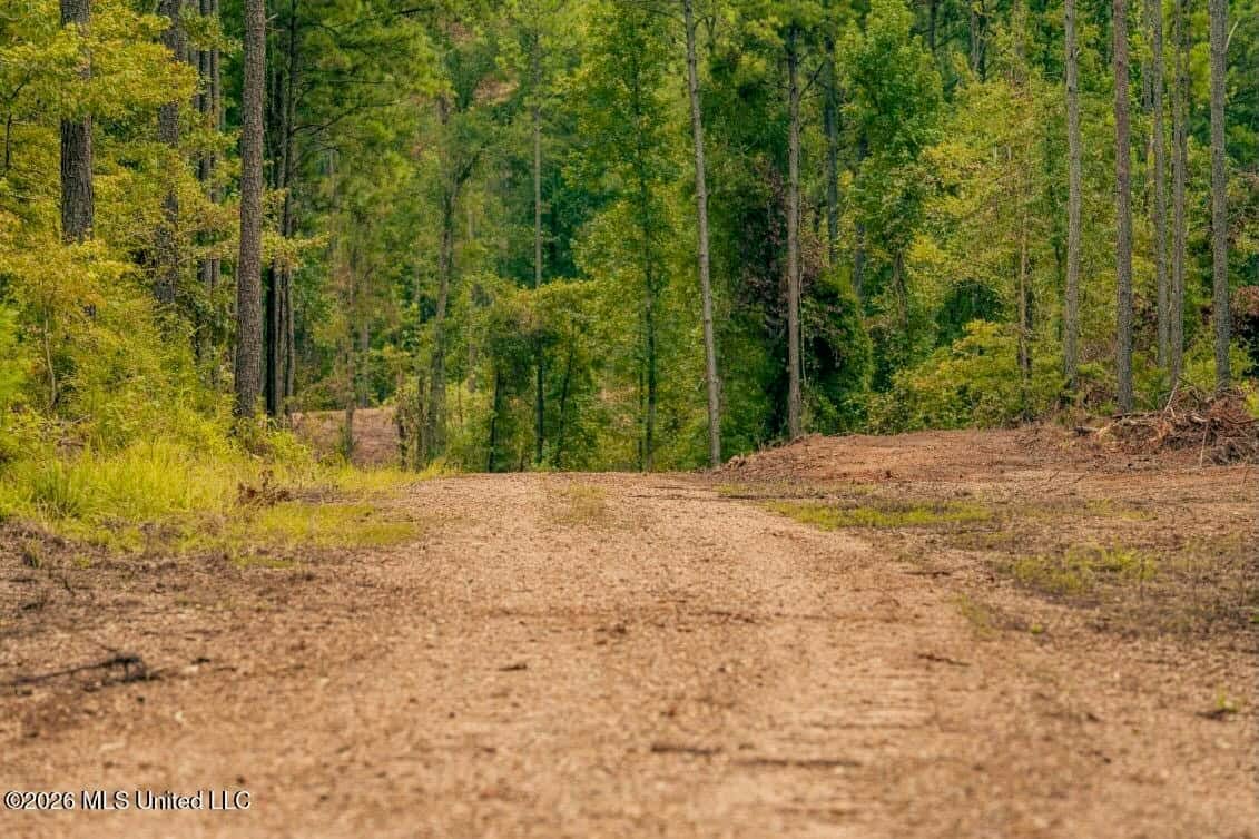 58± Acre Hunting Property in Franklin County, MS
