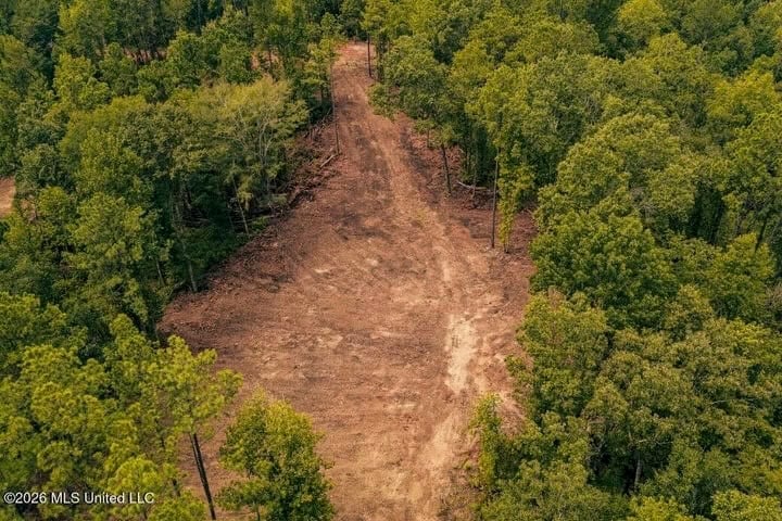 36± Acre Hunting Property Near Bude, MS