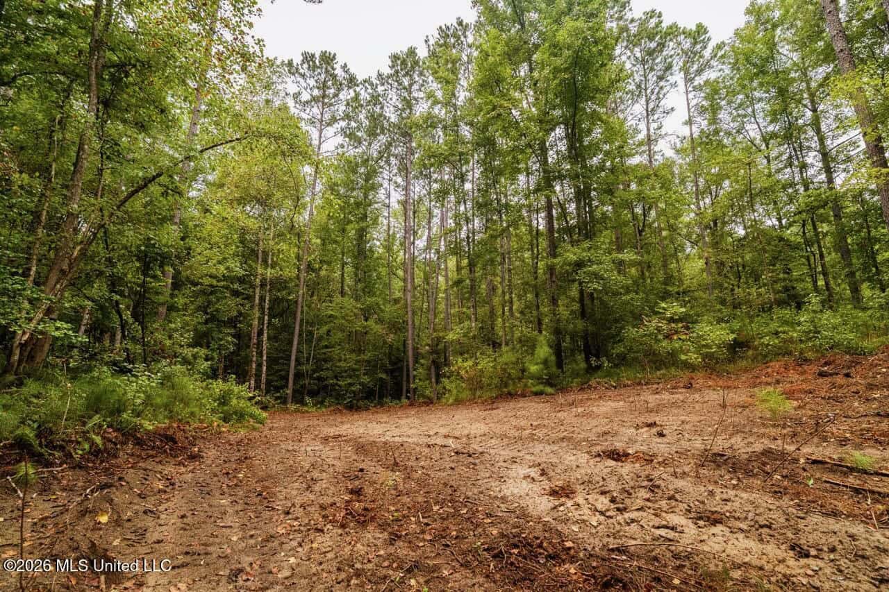 13± Acres by Homochitto National Forest Near Meadville, MS