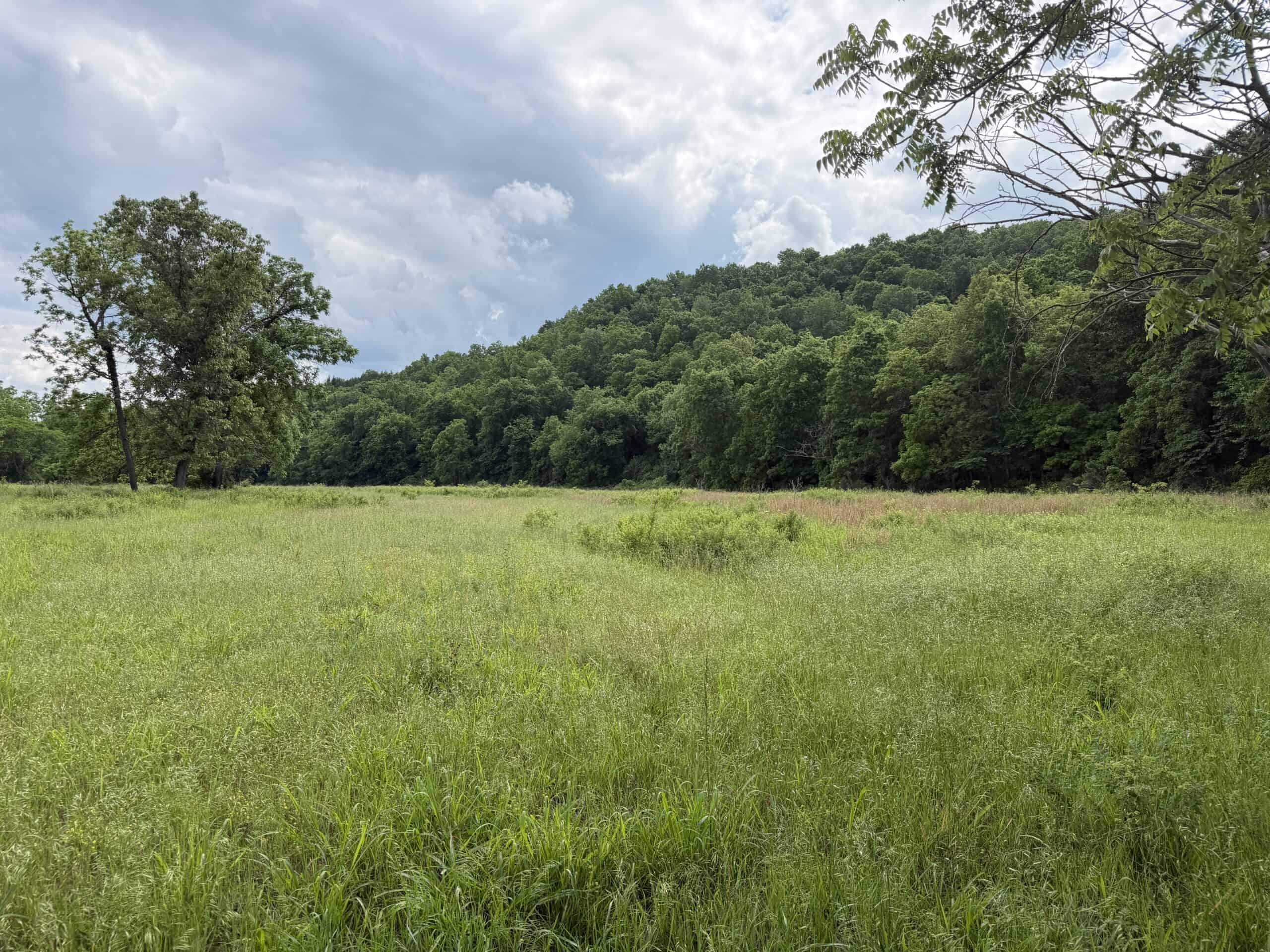 473 ± Acre Ozark Farm for Sale Near Salem, Missouri