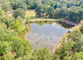 Salem, MO – 20-Acre Hunting & Recreational Retreat with Stocked Pond