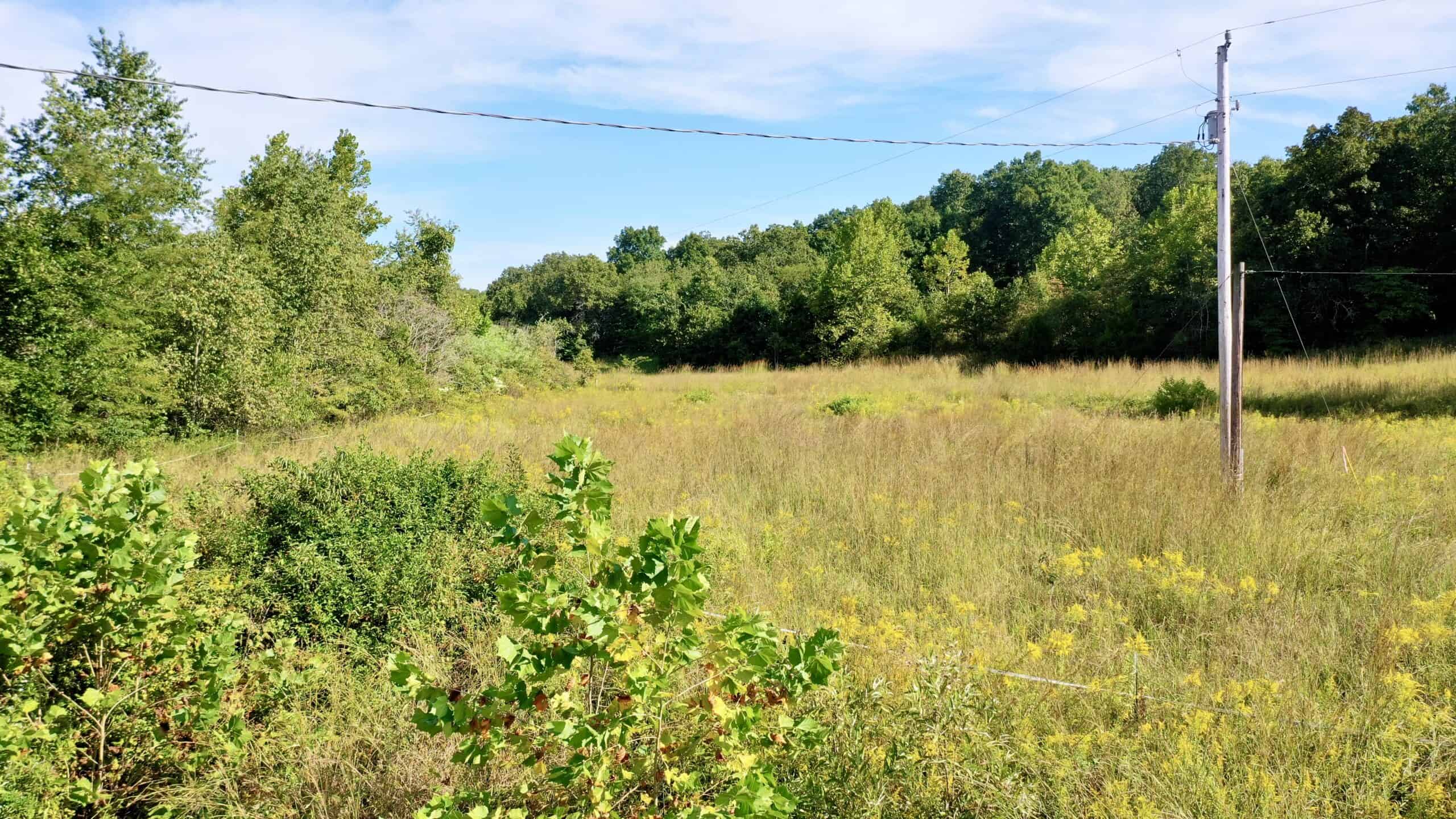 Secluded Acreage Farm and Home in Boss, Missouri