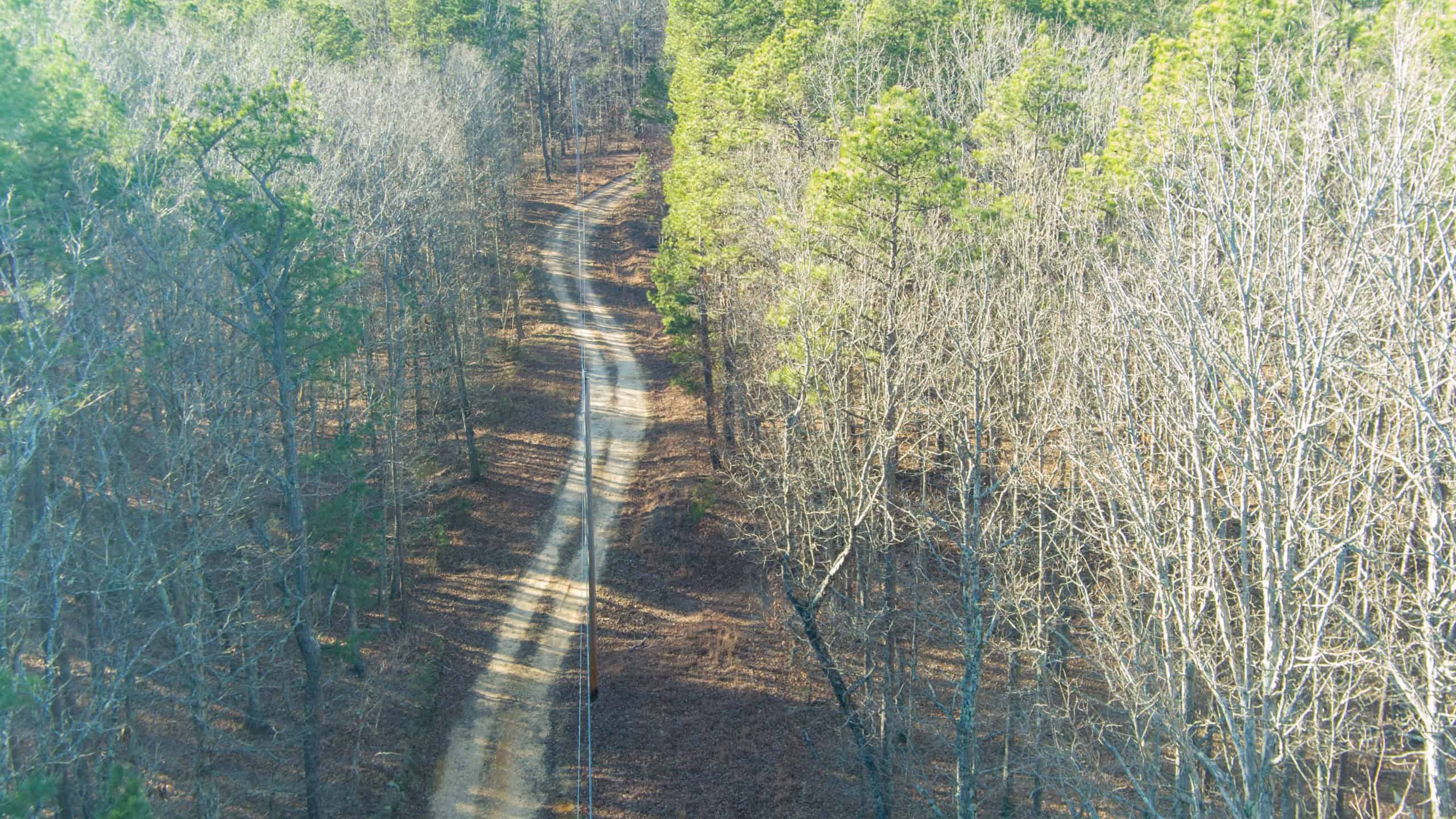 20 ± Acre Wooded Land for Sale in Salem, MO