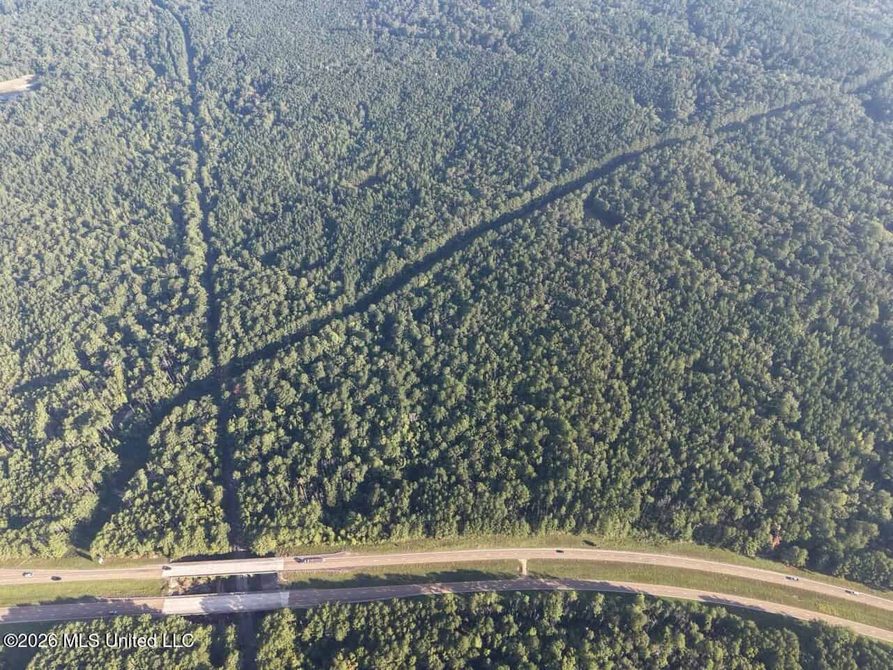 210+/- Acres and Cabin in Franklin County, MS