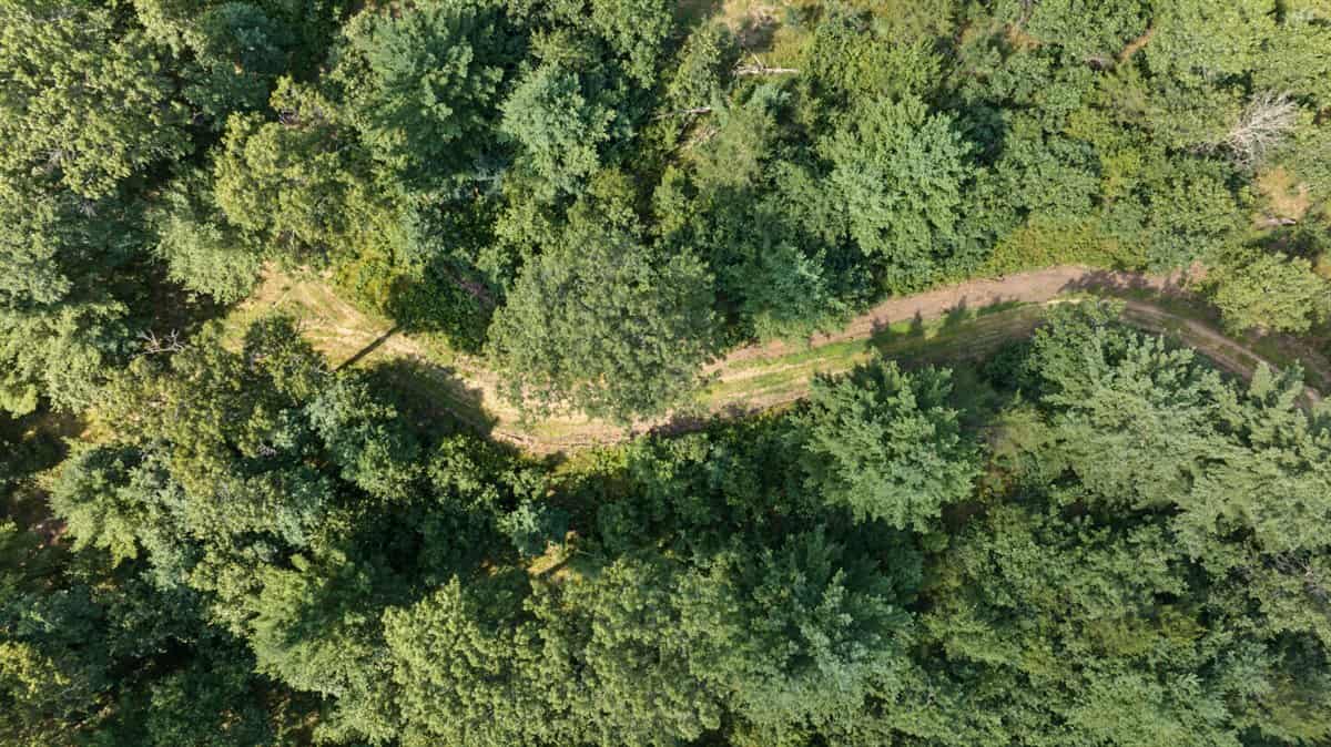 117± Acres of Irrigated Farmland and Trophy Whitetail Habitat — Adams County, Wisconsin