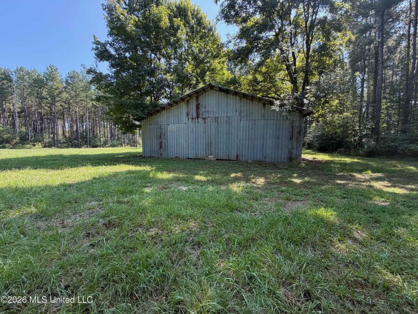 52 Acres Hunting & Timberland in Raleigh, MS
