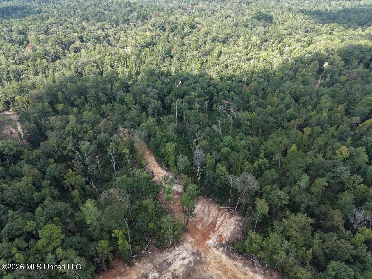45± Acre Hunting Property in Franklin County, MS