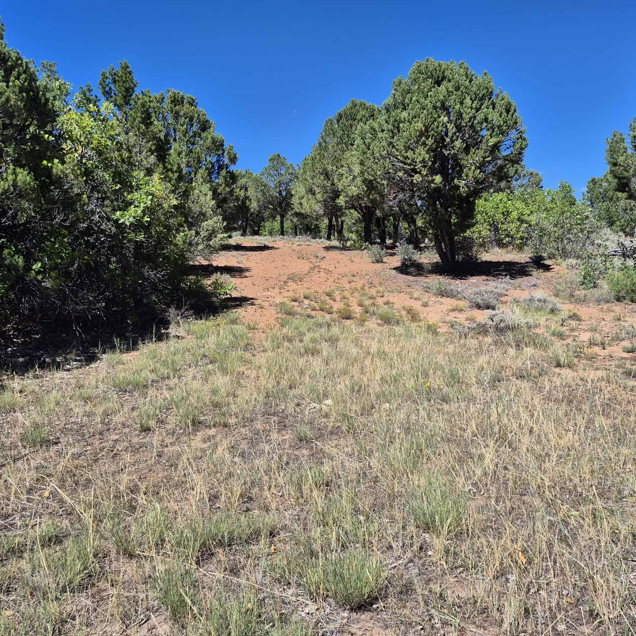 Colorado Hunting Land For Sale