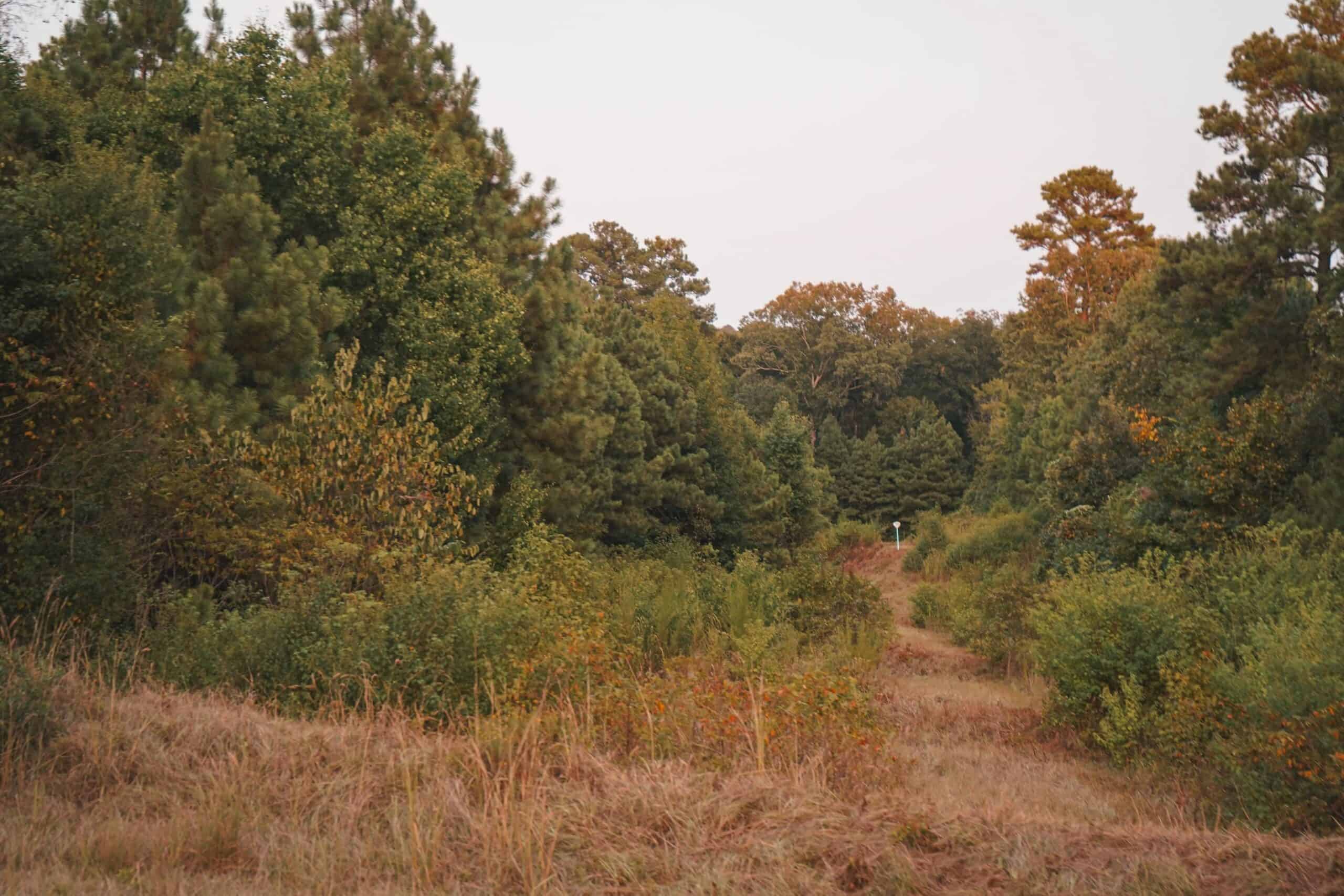 Affordable Union Parish Land for Sale