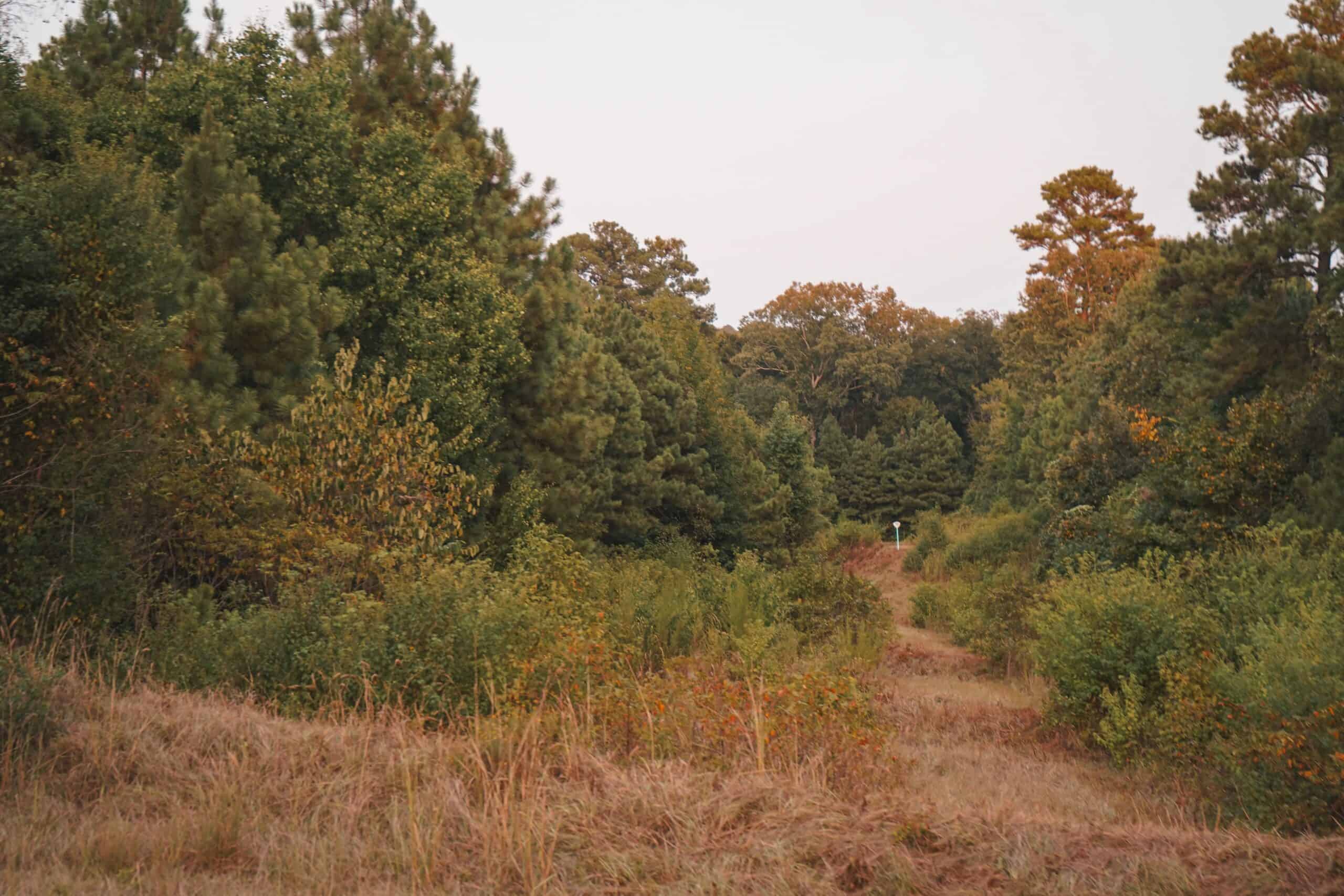 Affordable Union Parish Land for Sale