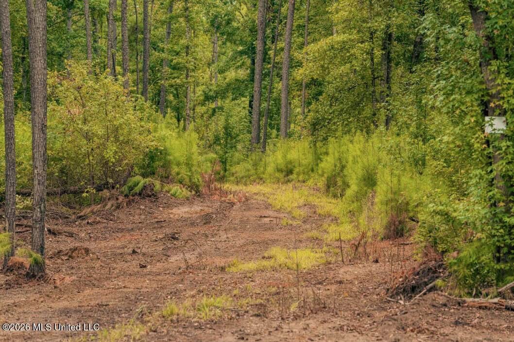 58± Acre Hunting Property in Franklin County, MS