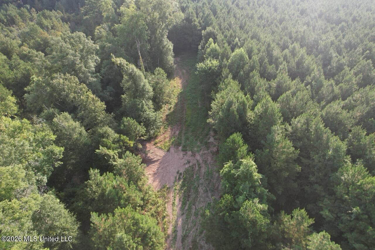 80± Acre Riverfront Hunting Land Near Meadville, MS