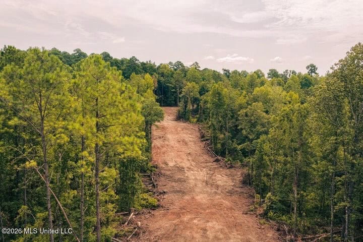 36± Acre Hunting Property Near Bude, MS