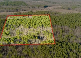 20 ± Acre Wooded Land for Sale in Salem, MO