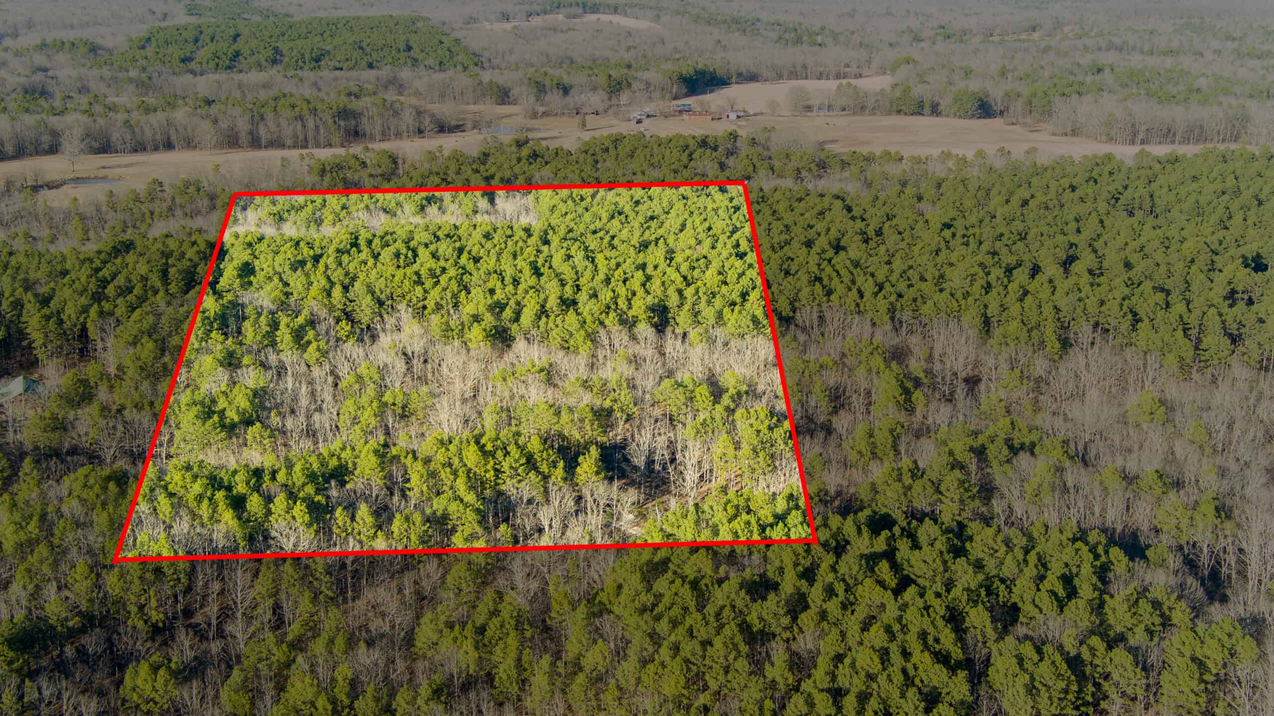 20 ± Acre Wooded Land for Sale in Salem, MO