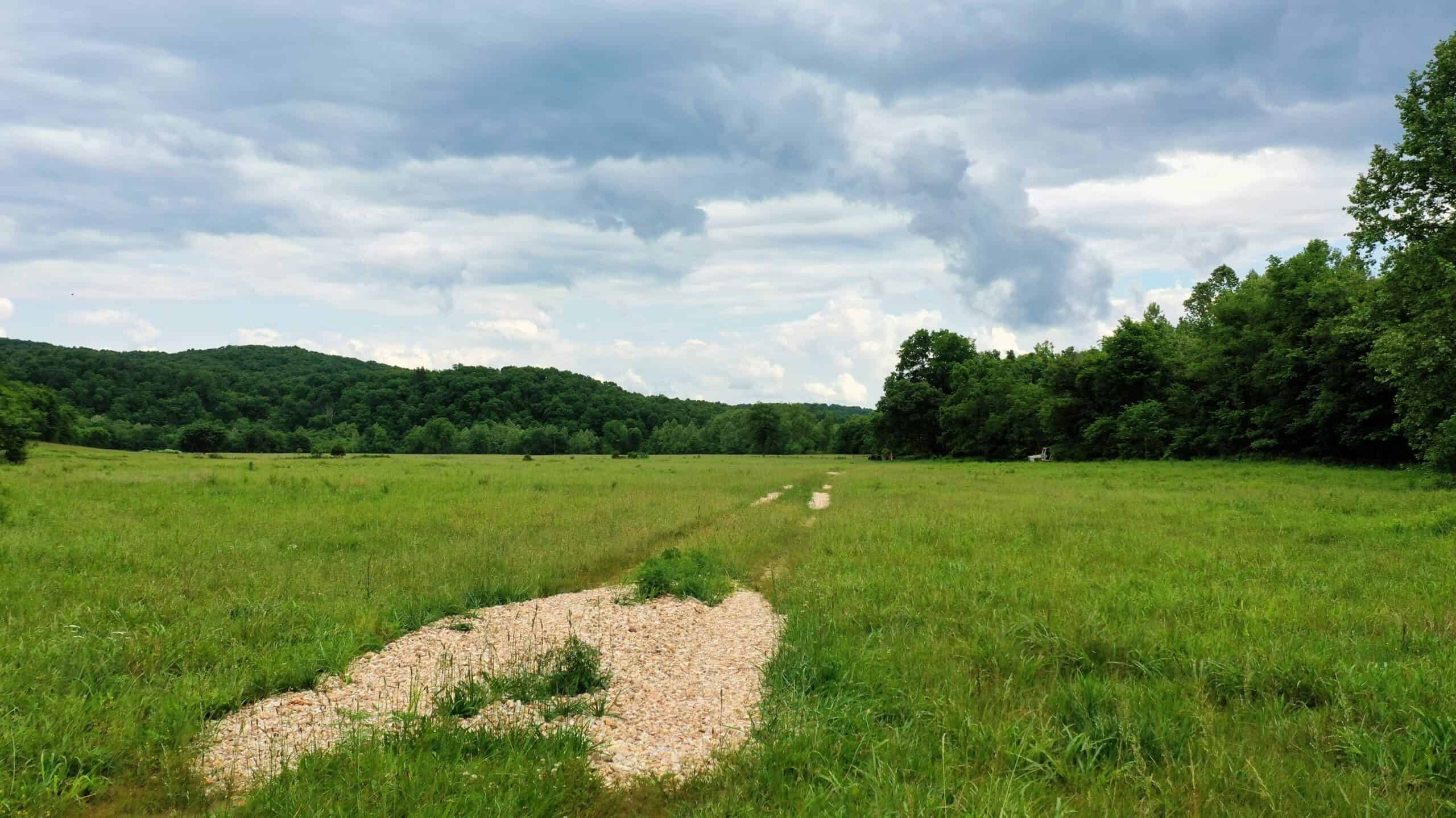 473 ± Acre Ozark Farm for Sale Near Salem, Missouri