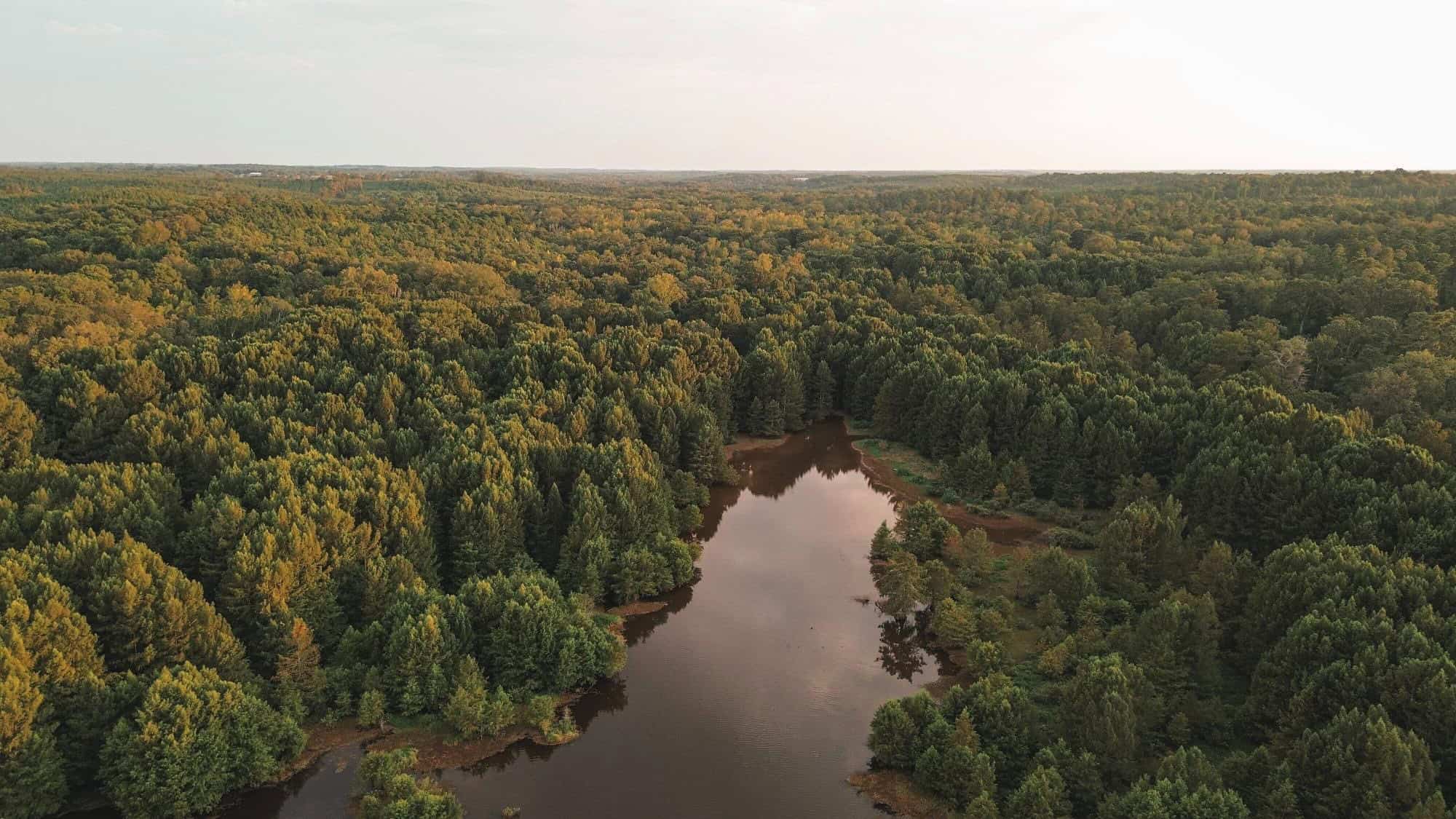 Lake D’Arbonne Land for Sale