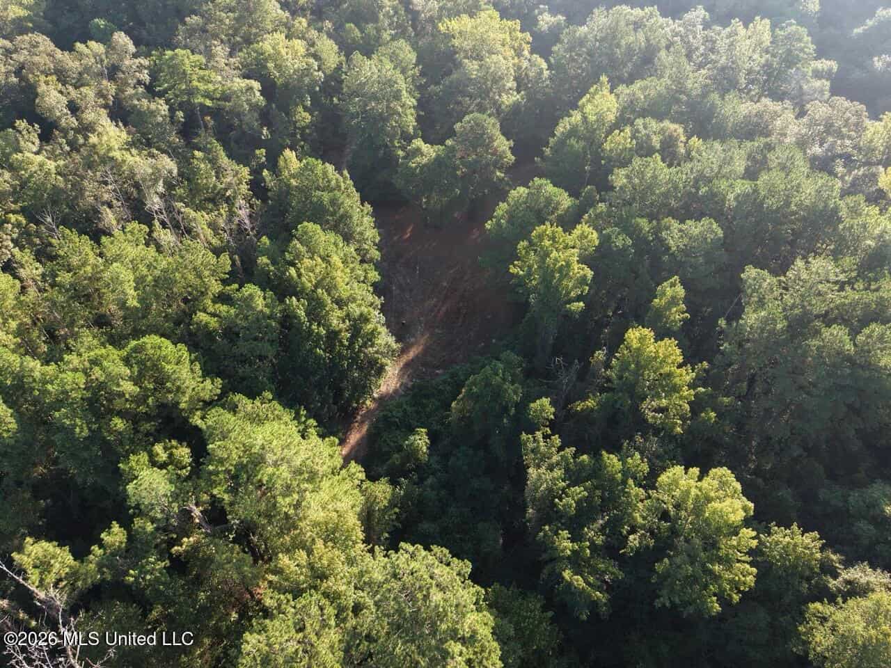 210+/- Acres and Cabin in Franklin County, MS