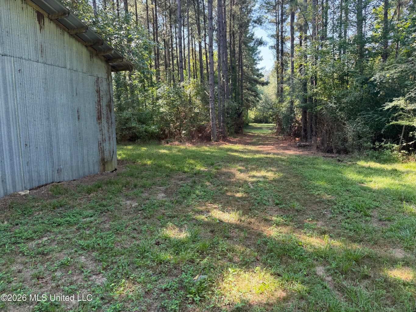 76 Acres of Hunting Land in Raleigh, MS, Smith County