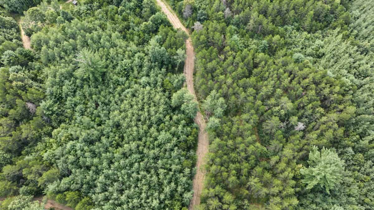 117± Acres of Irrigated Farmland and Trophy Whitetail Habitat — Adams County, Wisconsin