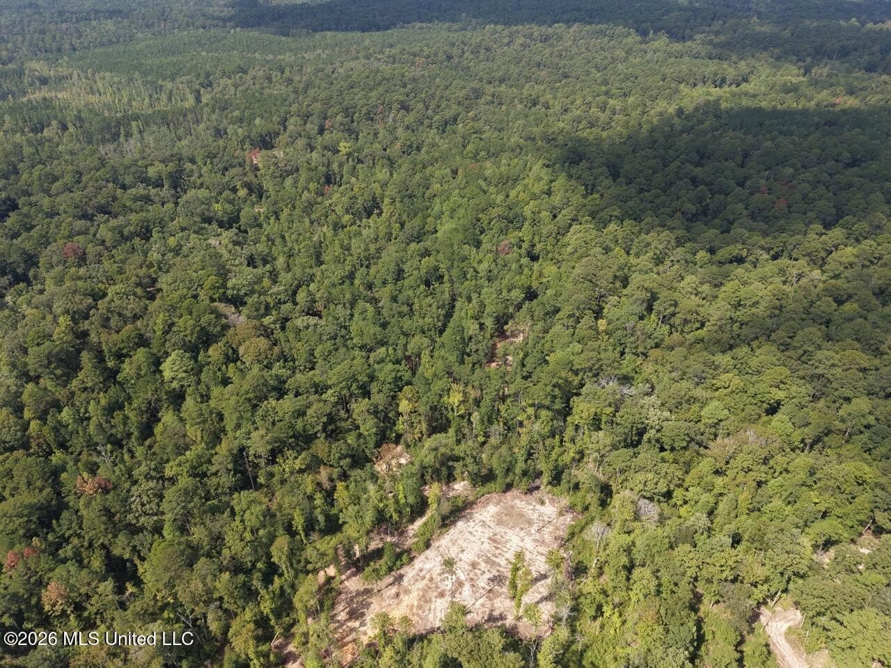 45± Acre Hunting Property in Franklin County, MS