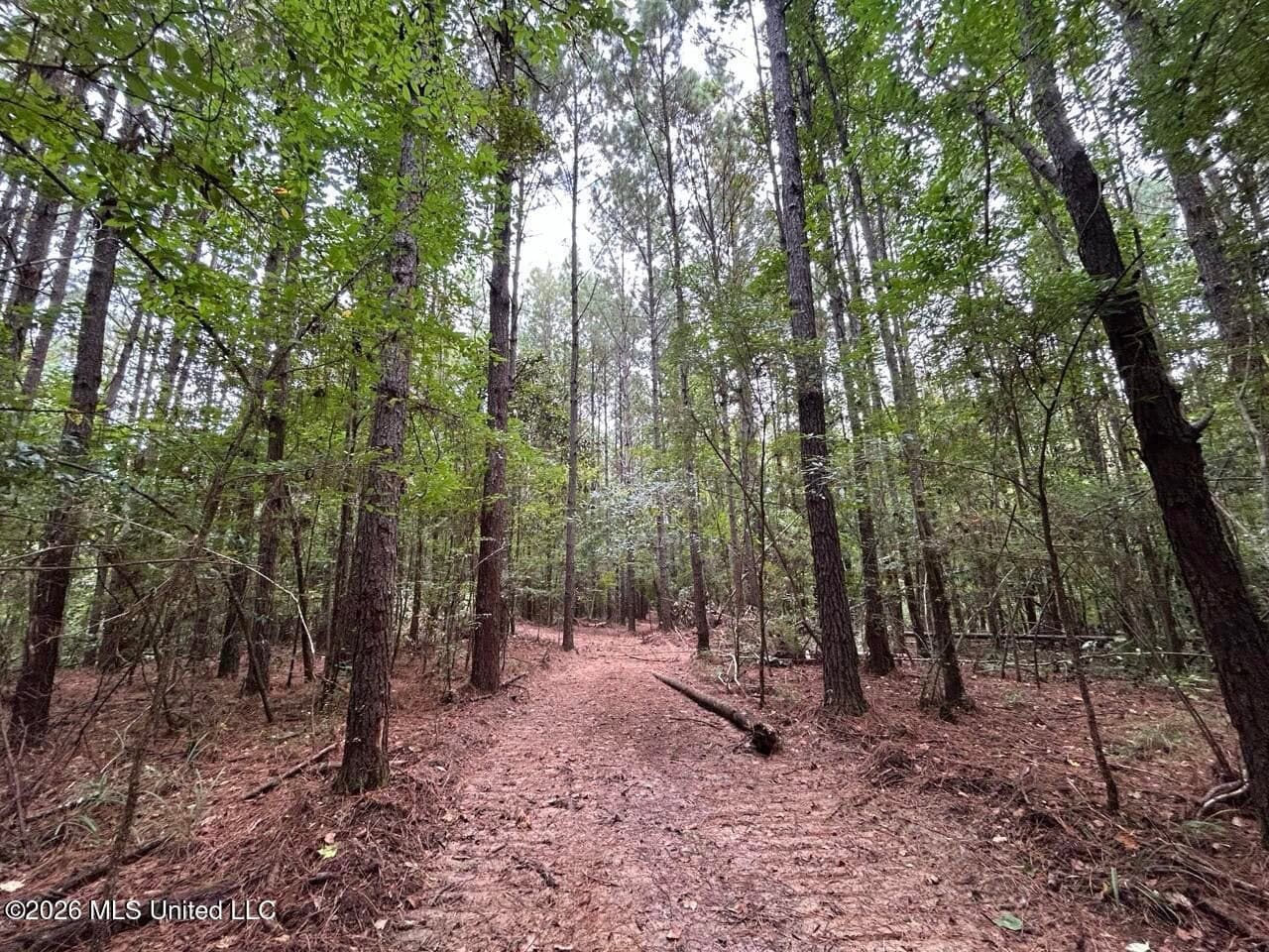 25± Acre Hunting & Homesite Tract in Centreville, MS