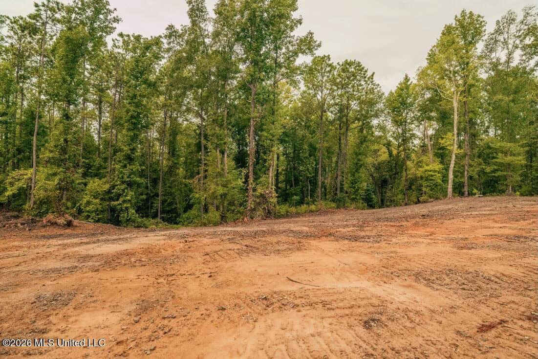 58± Acre Hunting Property in Franklin County, MS
