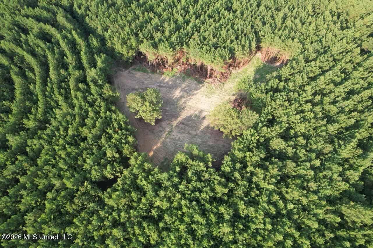 80± Acre Riverfront Hunting Land Near Meadville, MS