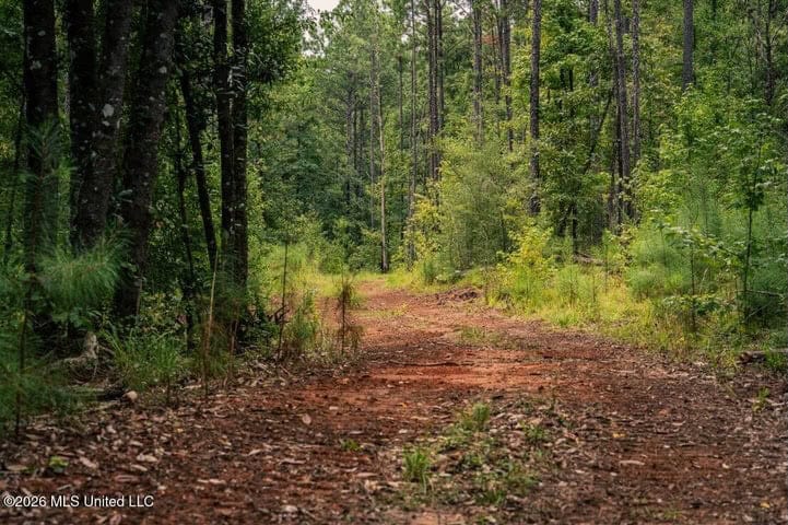 36± Acre Hunting Property Near Bude, MS