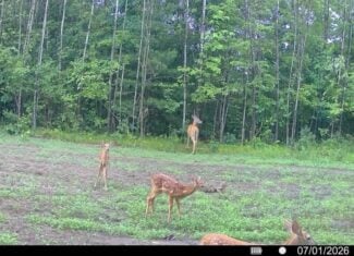 117± Acres of Irrigated Farmland and Trophy Whitetail Habitat — Adams County, Wisconsin