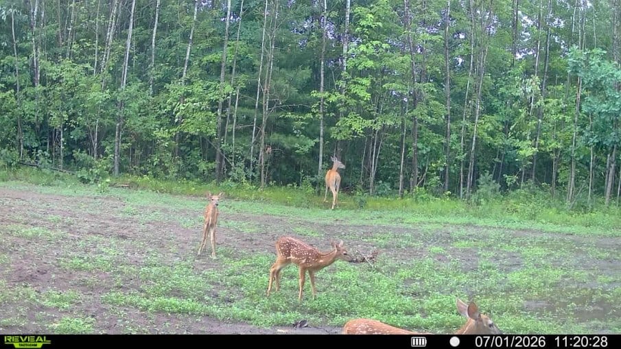 117± Acres of Irrigated Farmland and Trophy Whitetail Habitat — Adams County, Wisconsin