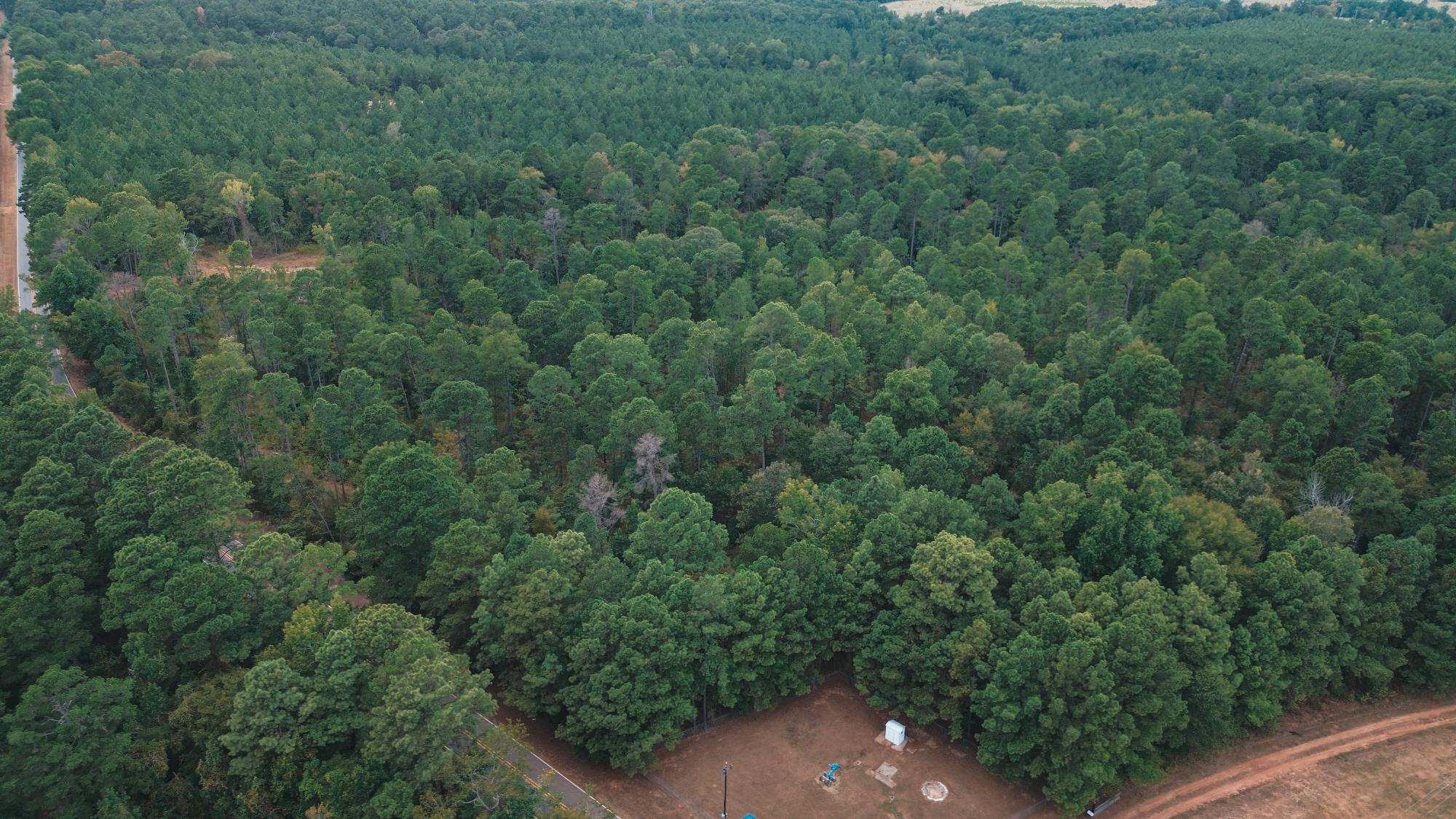 Affordable Union Parish Land for Sale