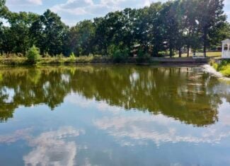Salem, MO – 20-Acre Hunting & Recreational Retreat with Stocked Pond