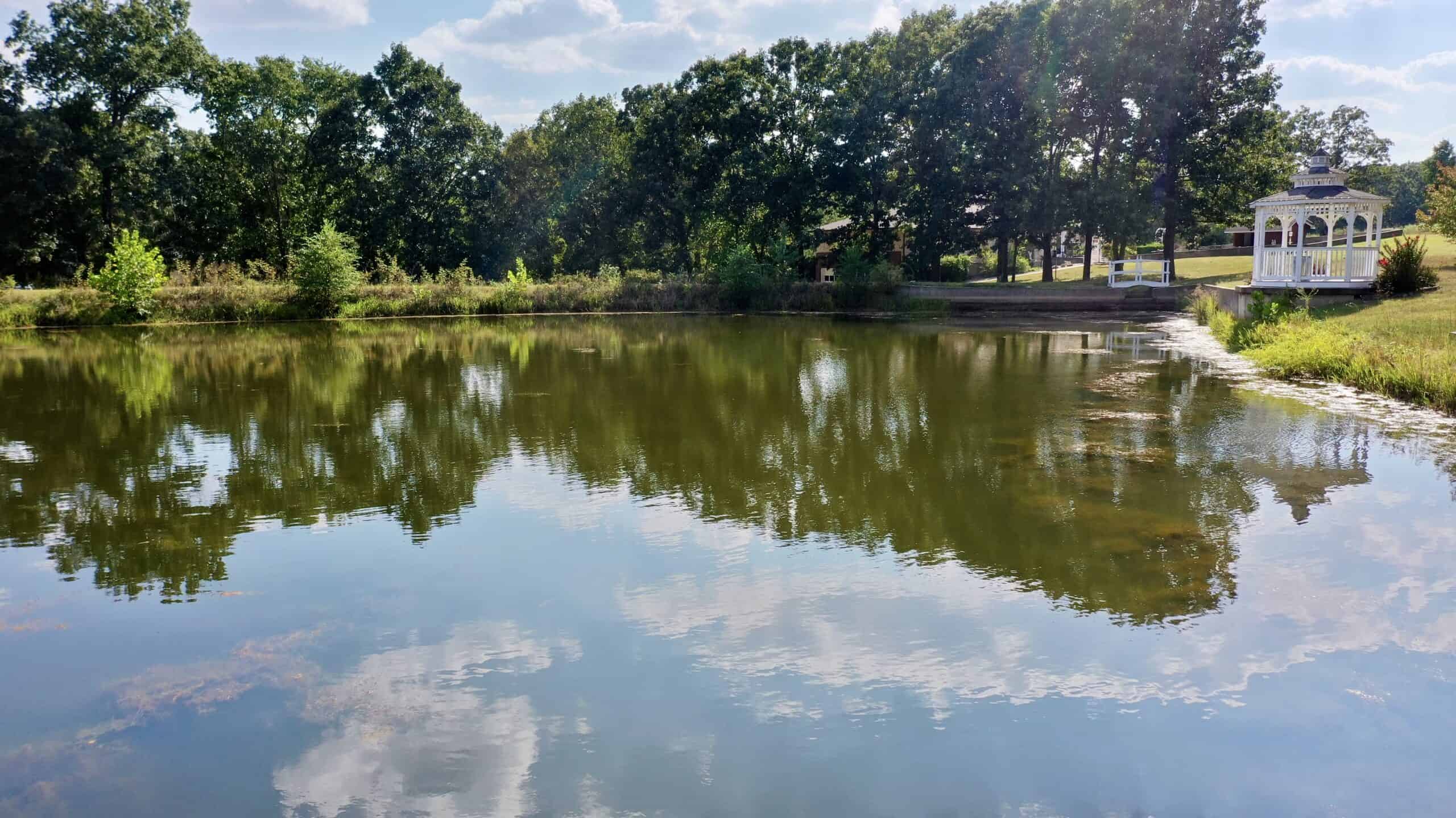 Salem, MO – 20-Acre Hunting & Recreational Retreat with Stocked Pond