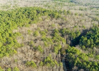 20 ± Acre Wooded Land for Sale in Salem, MO