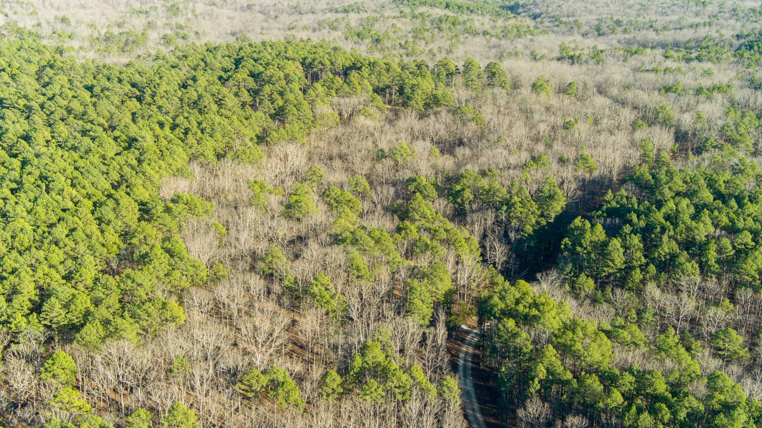 20 ± Acre Wooded Land for Sale in Salem, MO