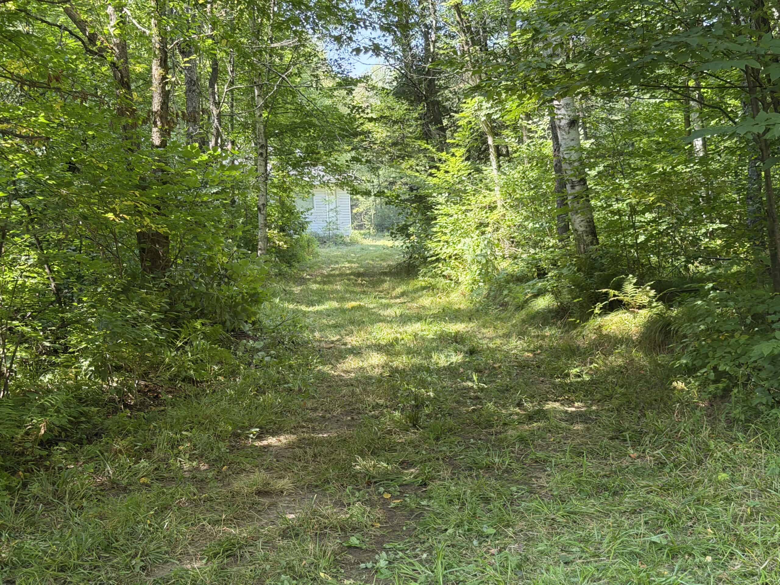 37.5± Acres with Off-Grid Cabin – Taylor County, Wisconsin