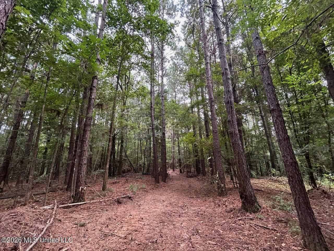 25± Acre Hunting & Homesite Tract in Centreville, MS