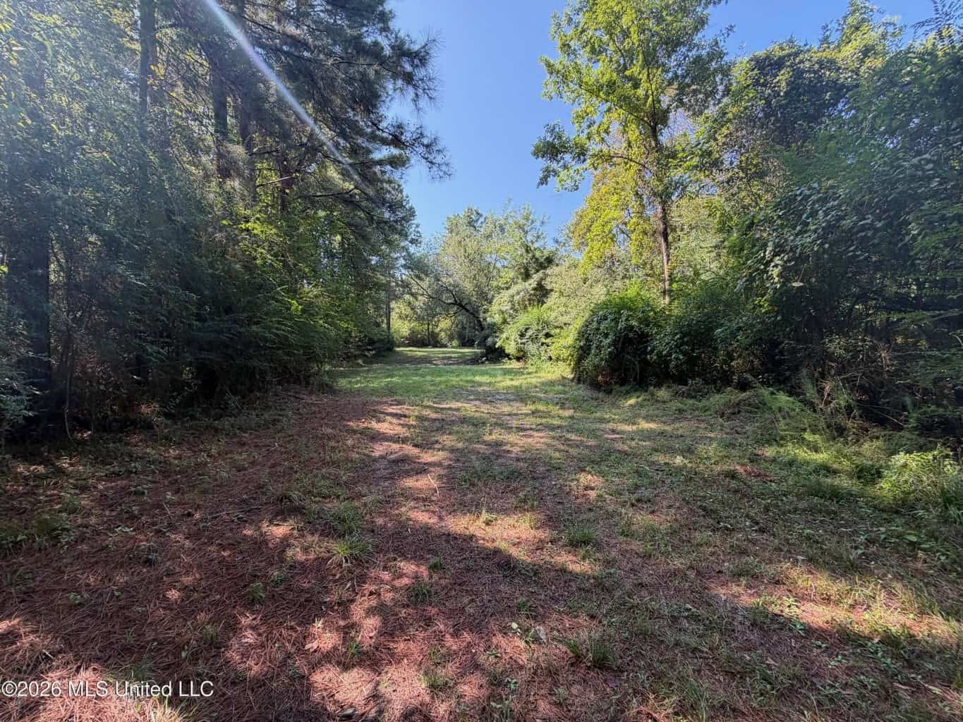76 Acres of Hunting Land in Raleigh, MS, Smith County