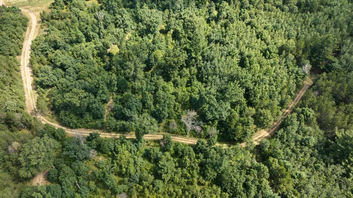 117± Acres of Irrigated Farmland and Trophy Whitetail Habitat — Adams County, Wisconsin