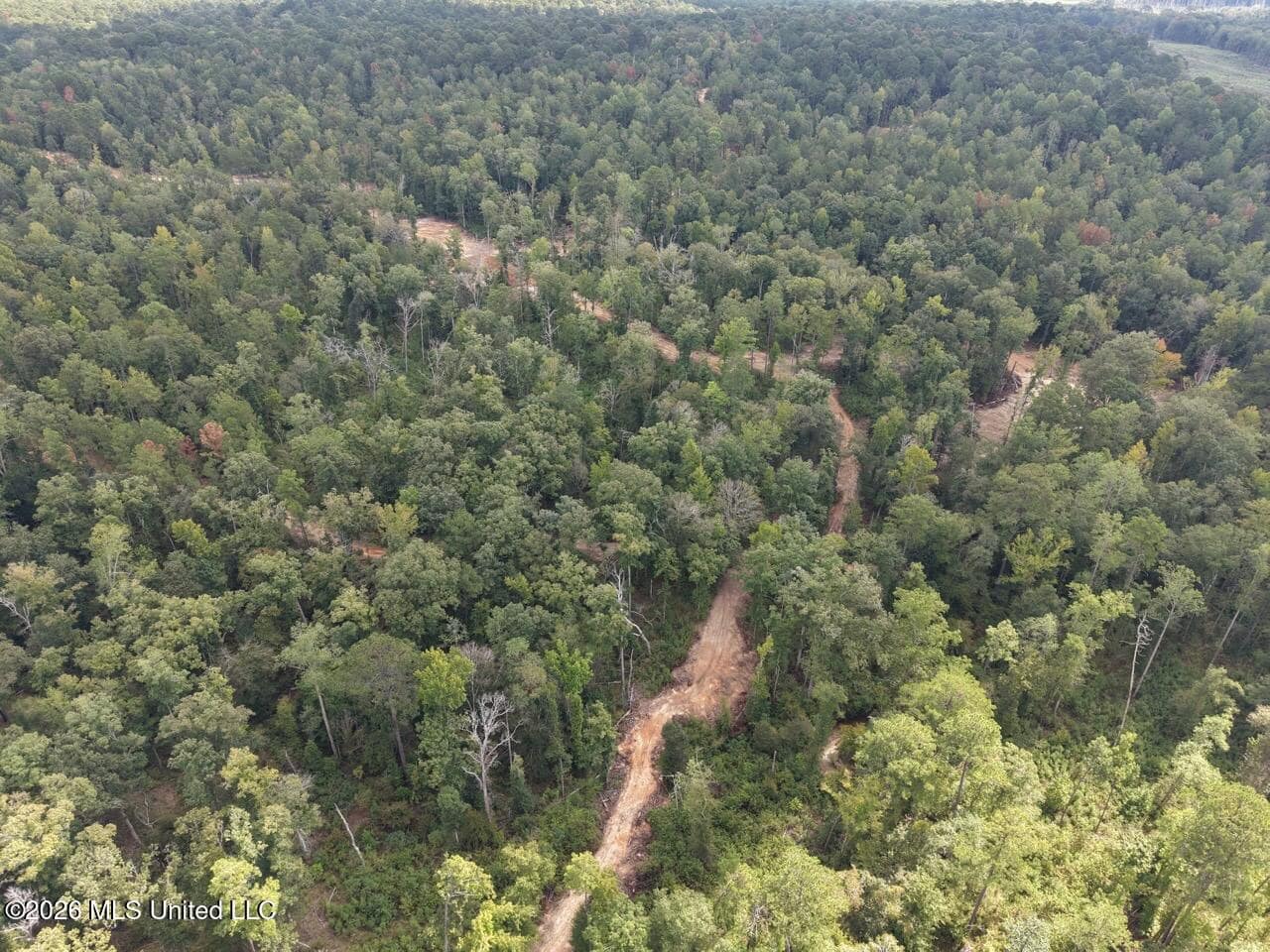 45± Acre Hunting Property in Franklin County, MS